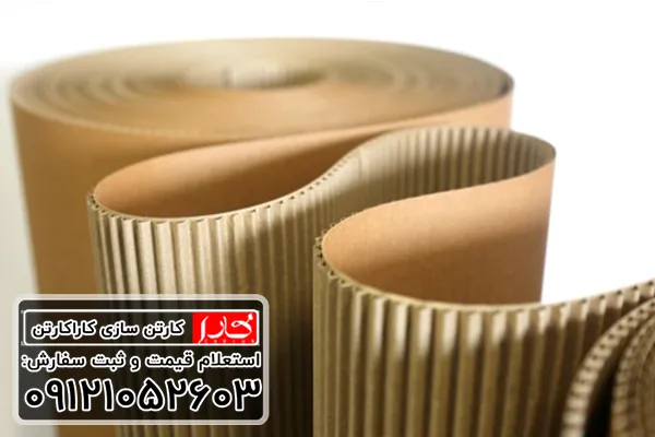 کارتن دولایه