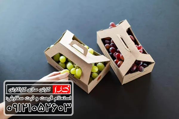 کارتن میوه کرج
