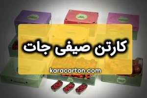 کارتن صیفی جات | سفارش عمده انواع کارتن صیفی جات