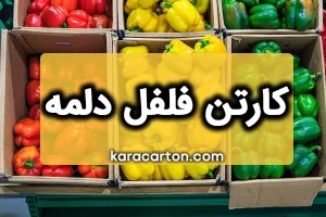 کارتن فلفل دلمه ای | خرید انواع کارتن فلفل دلمه