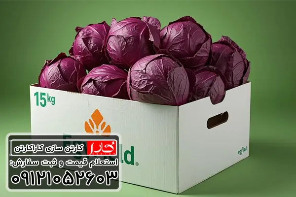 کارتن کلم قرمز