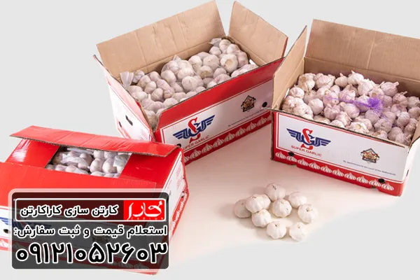 قیمت کارتن سیر