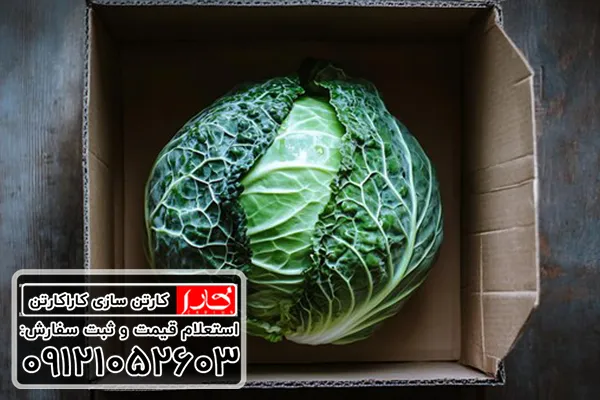 خرید عمده کارتن کلم