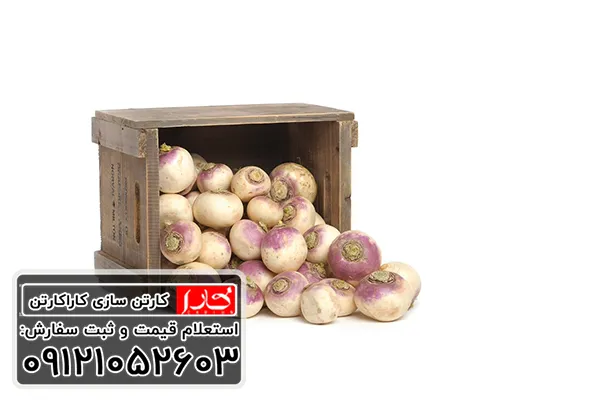 خرید عمده کارتن شلغم