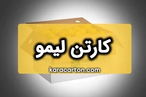 کارتن لیمو | بسته بندی لیمو ترش و لیمو شیرین