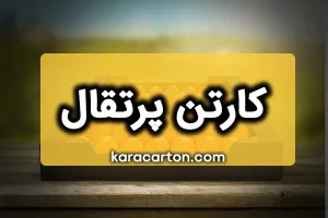 کارتن پرتقال | بسته بندی پرتقال صادراتی